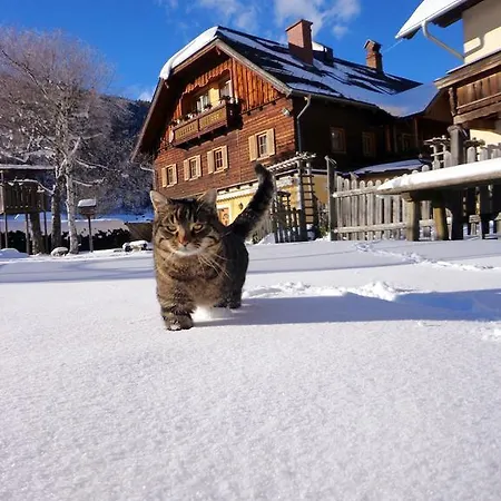 Gut Neusess Farm stay *