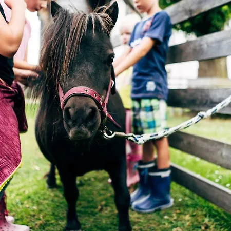 Farm stay Gut Neusess