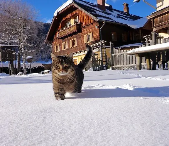 Gut Neusess Κατάλυμα σε φάρμα *