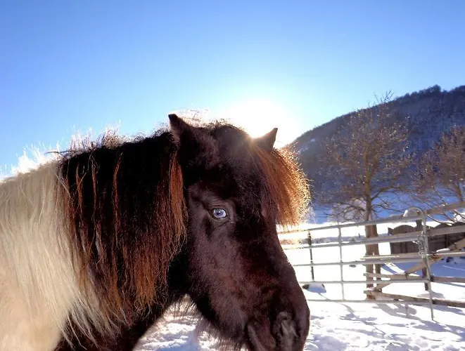 Gut Neusess Κατάλυμα σε φάρμα Mauterndorf (Salzburg)