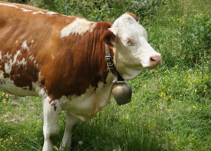 Gut Neusess * ماوترندورف