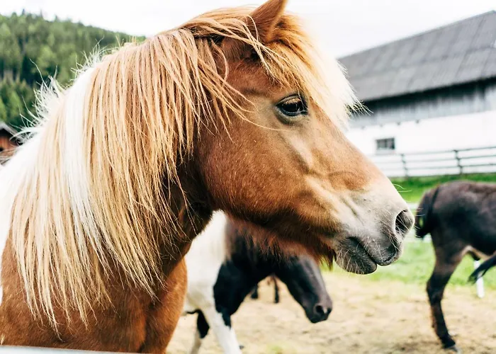 مزرعة للإقامة Gut Neusess *