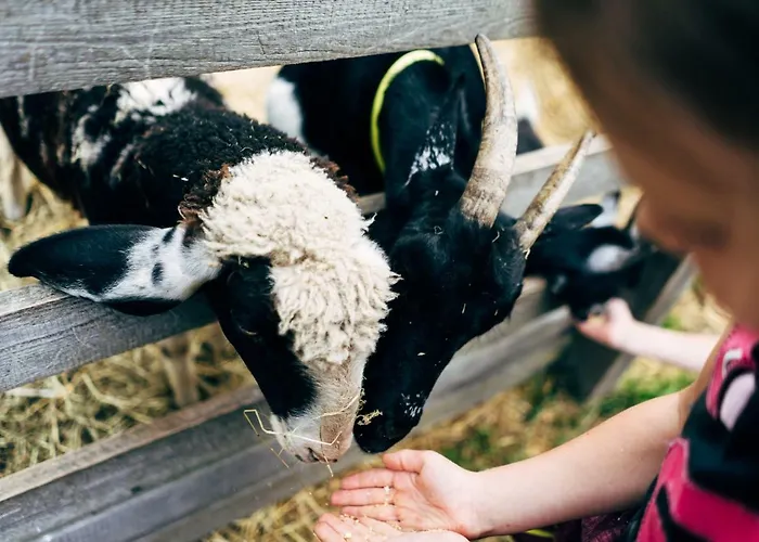 Gut Neusess مزرعة للإقامة ماوترندورف